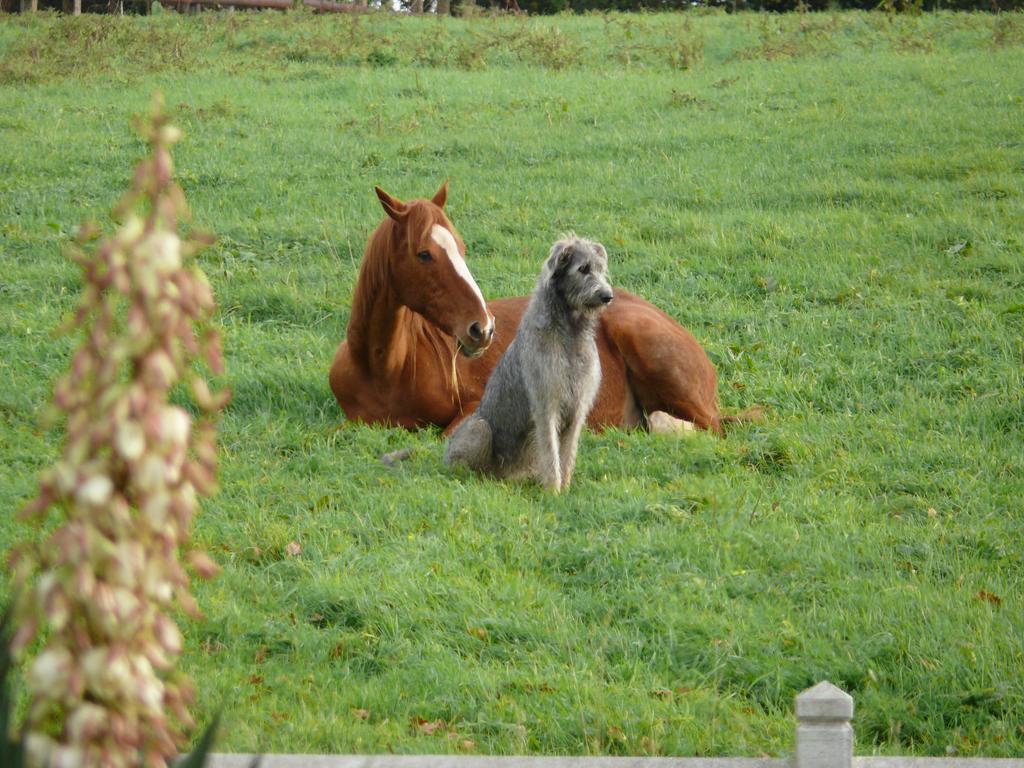 Gite De L'Etot Fossey Marchésieux エクステリア 写真